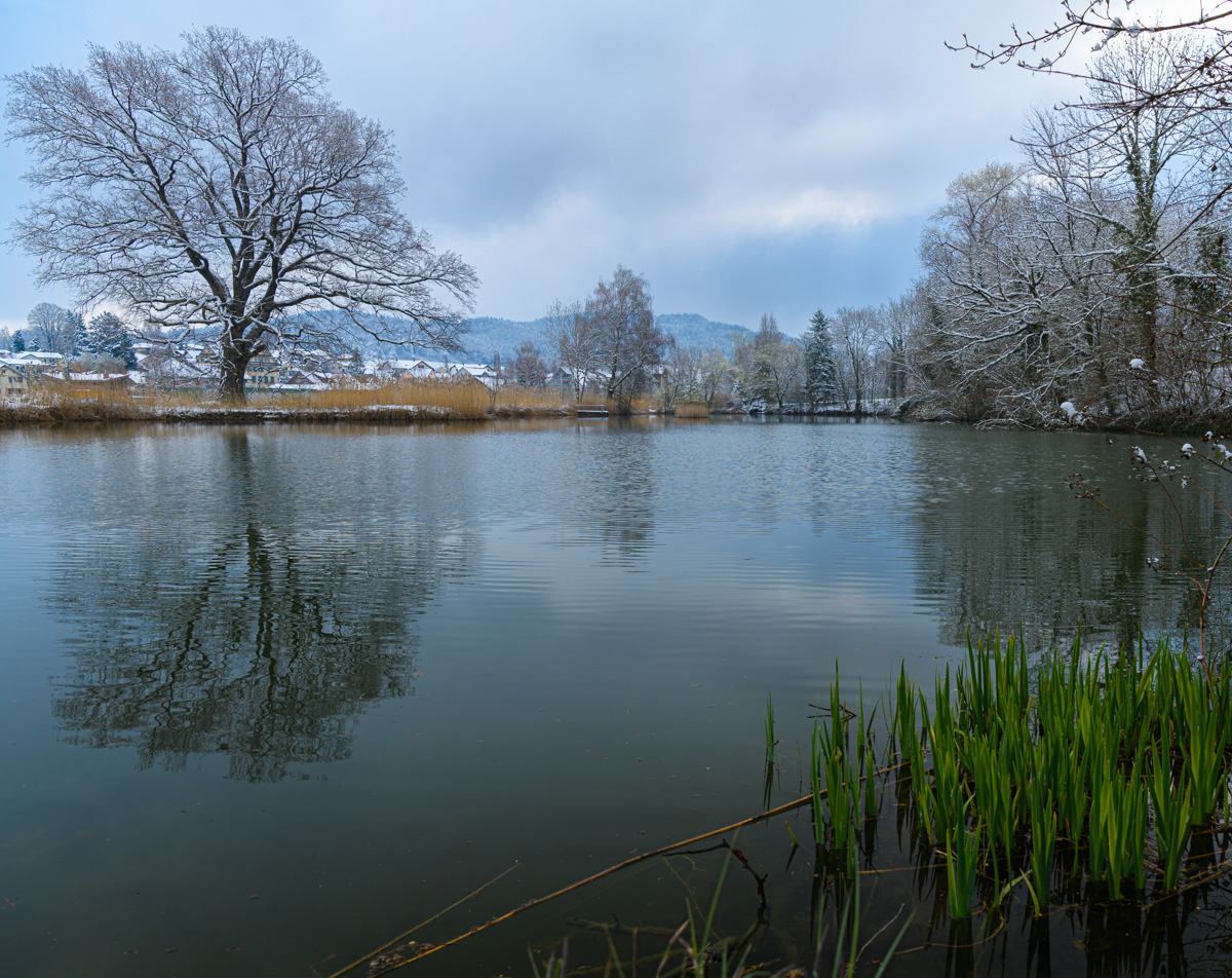 Guntershausen_Teich.jpg