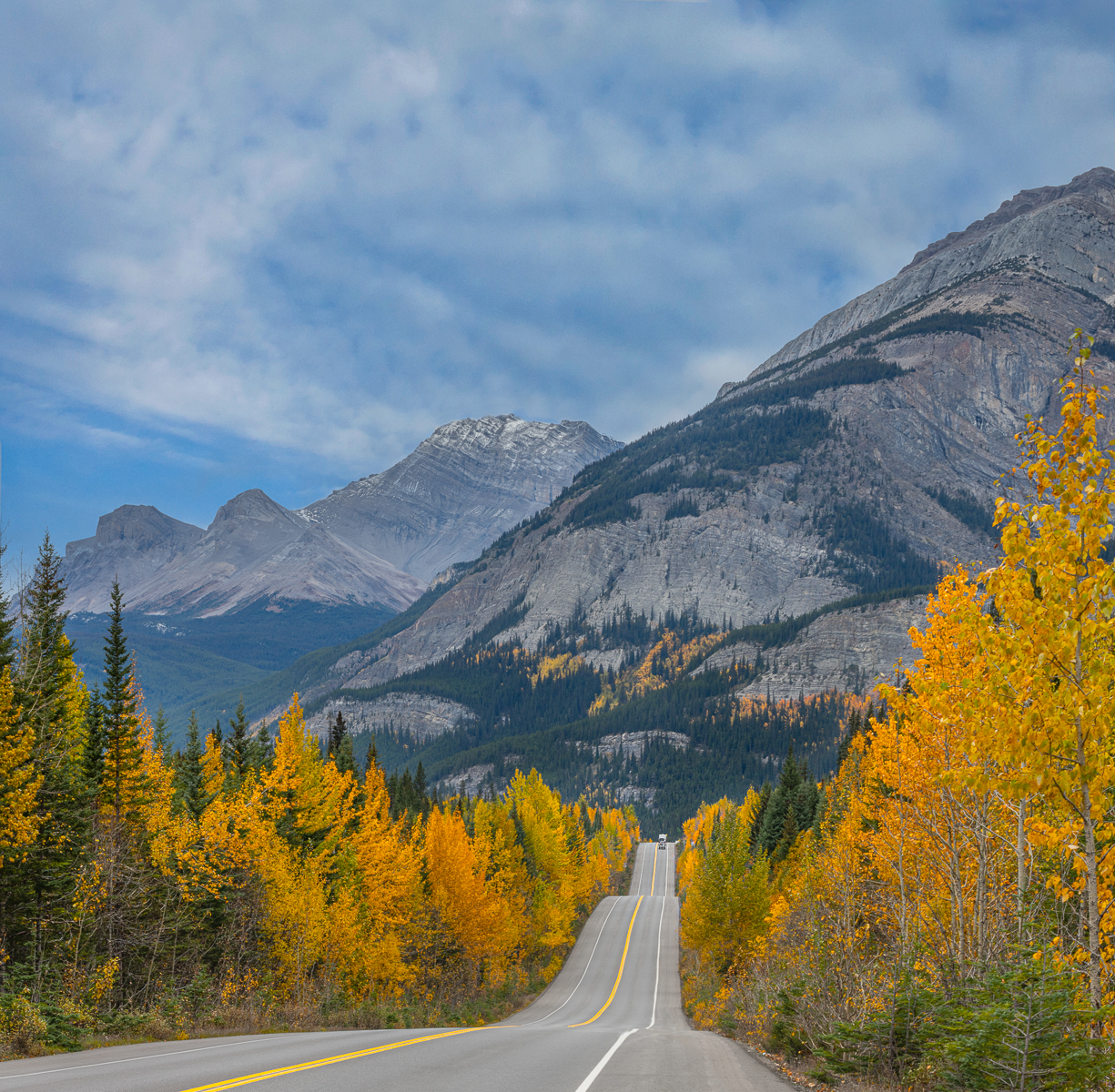 Icefield Parkway in the fall_.jpg