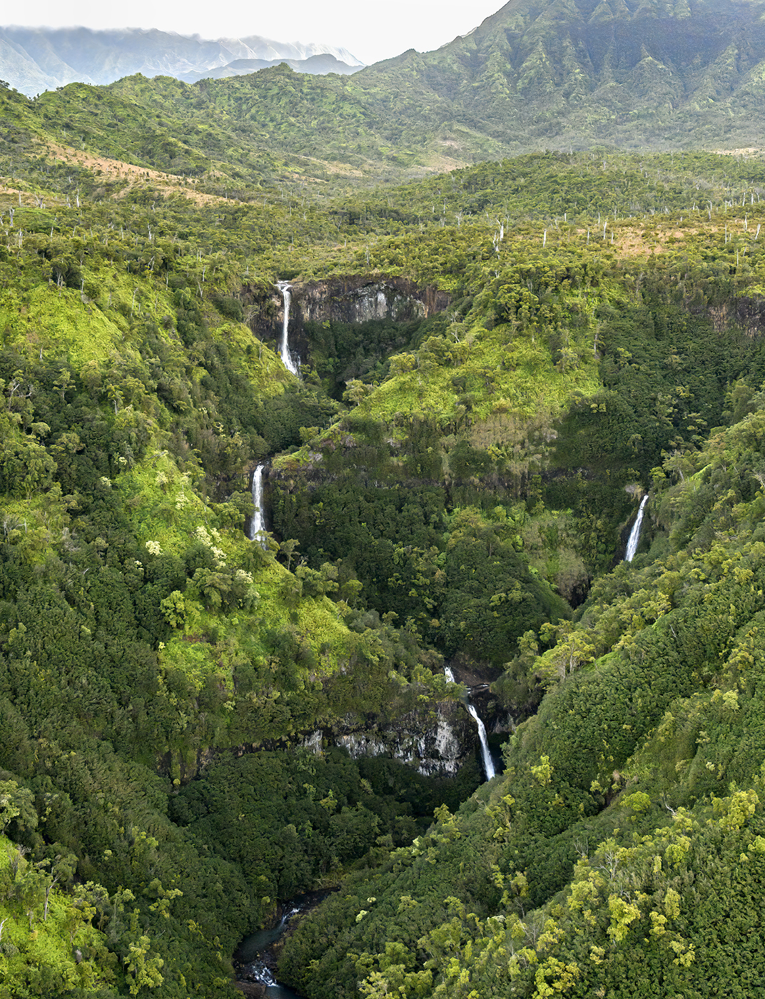 Kauai,HI3.jpg