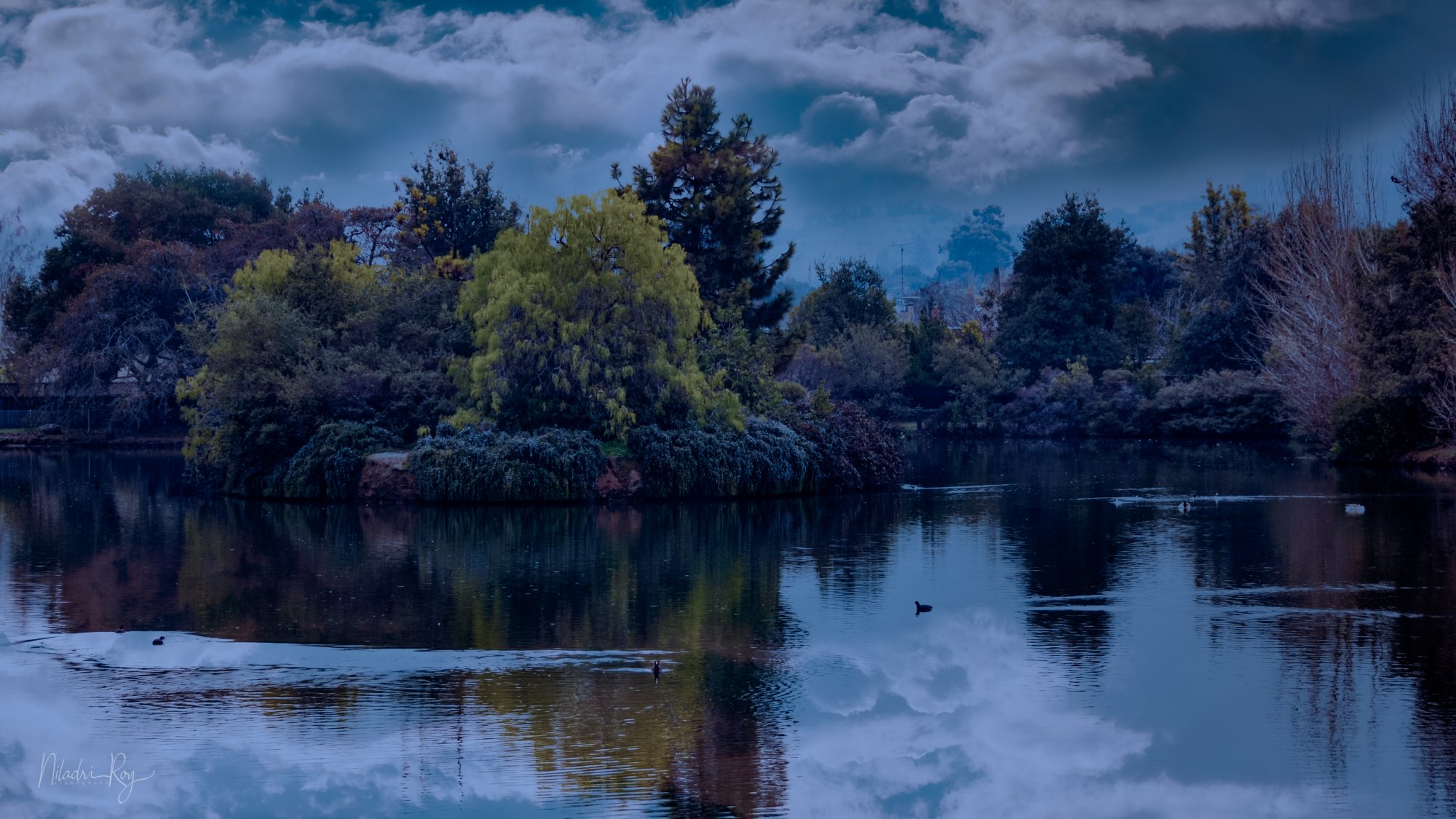 Lake at Dusk.jpg