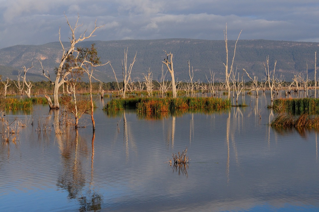 Lake Fyans...jpg