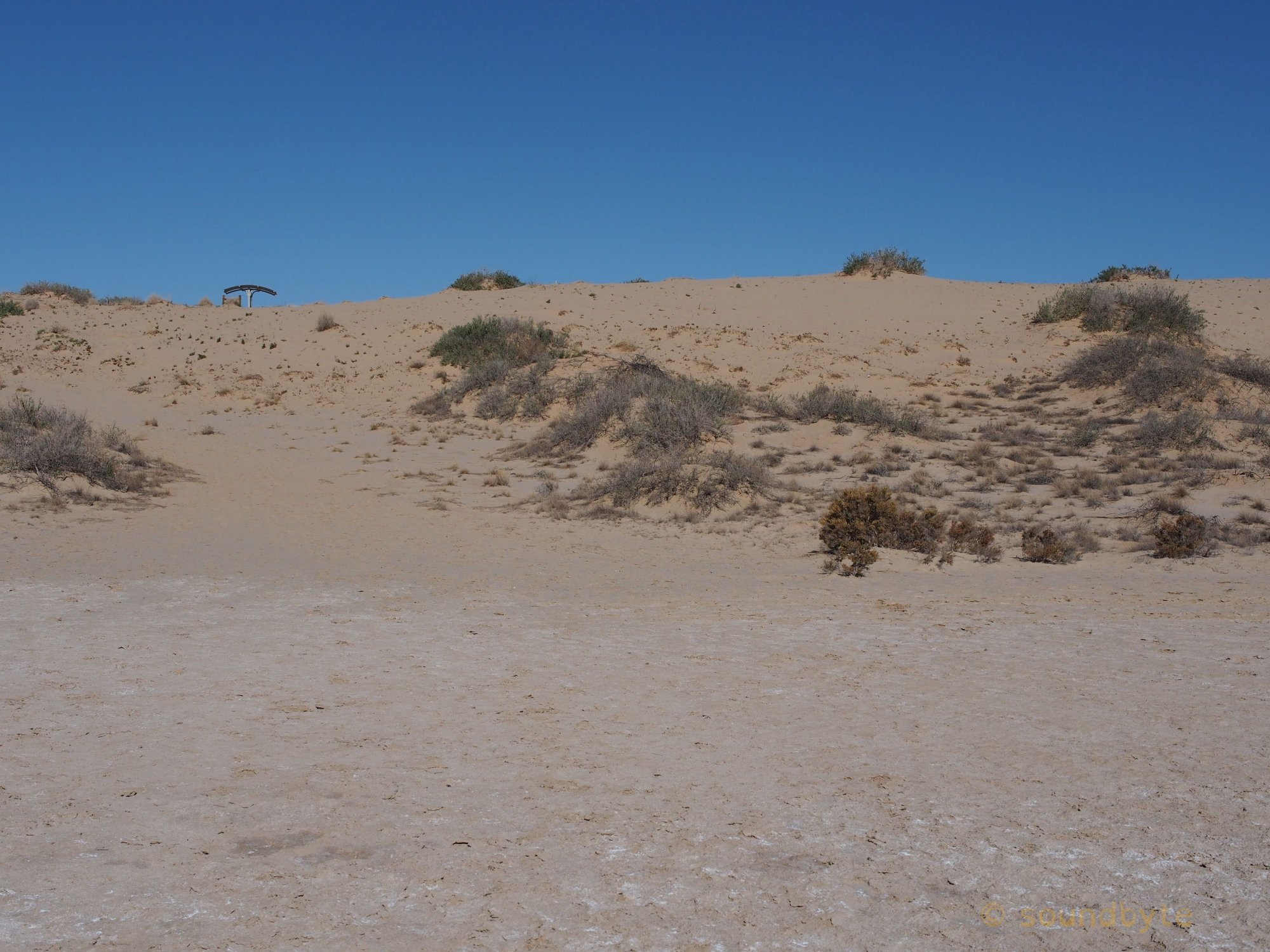 Lake_Eyre_Dune_BCG.jpg