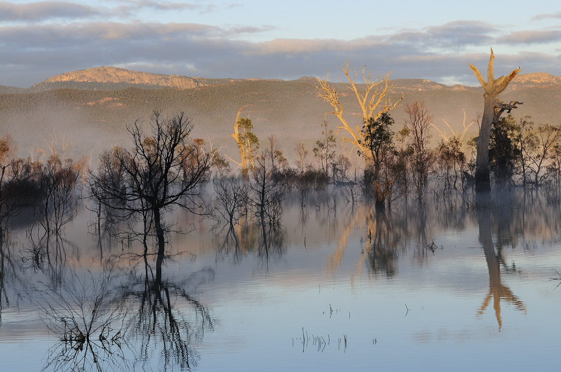 Lake_Fyans_Grampians_2013_.jpg