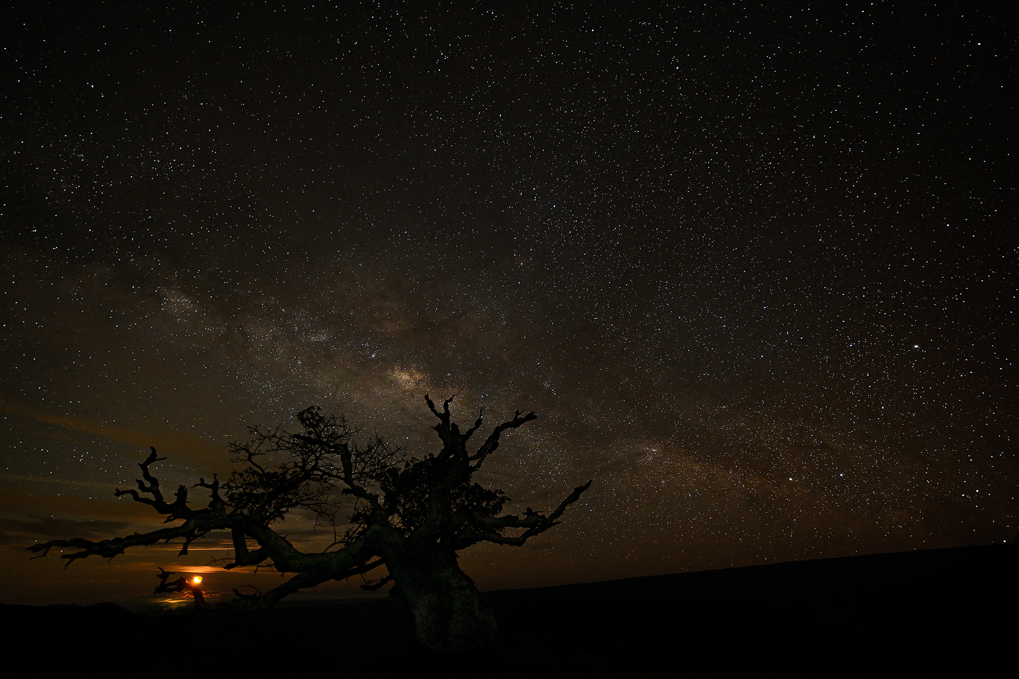Maunakea Milky Way-Steve.jpg
