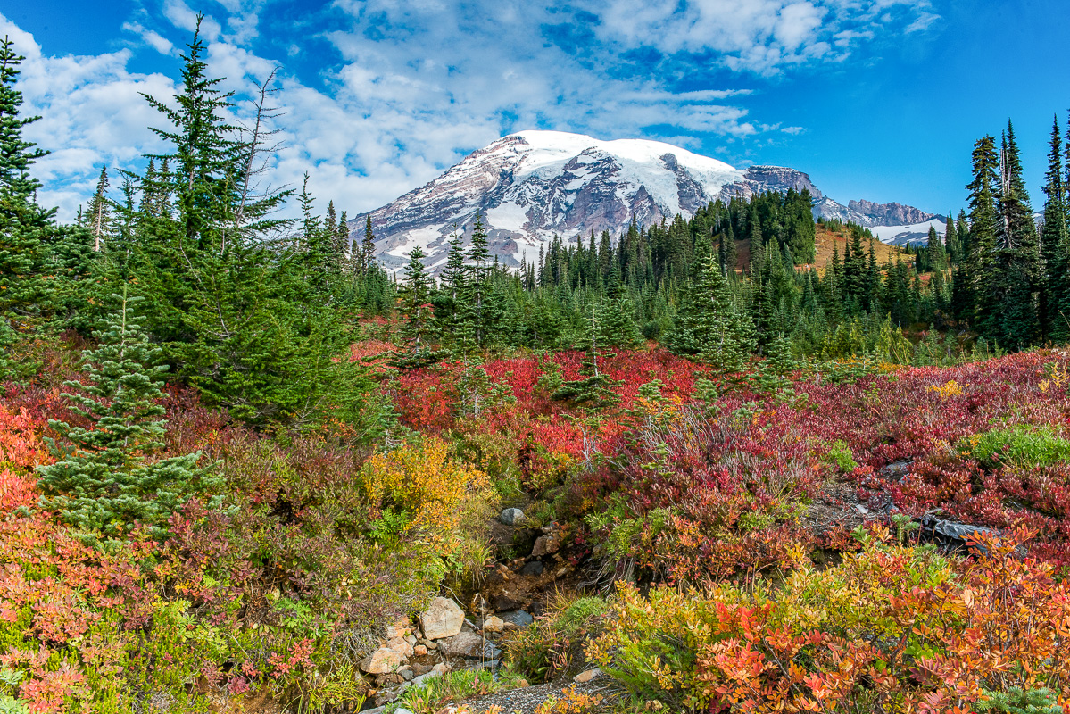 Morgans fantastic Rainier Fall photos (11 of 14) Sep 2016.jpg