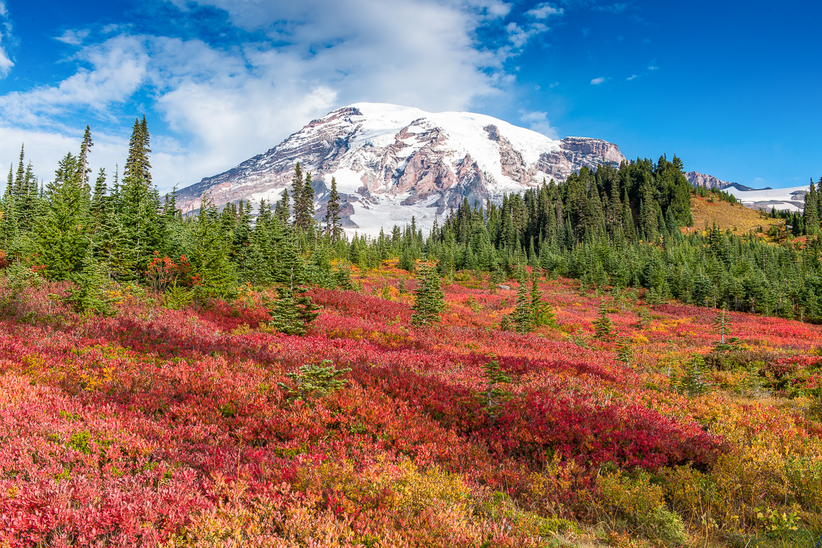 Morgans fantastic Rainier Fall photos (12 of 14) Sep 2016.jpg