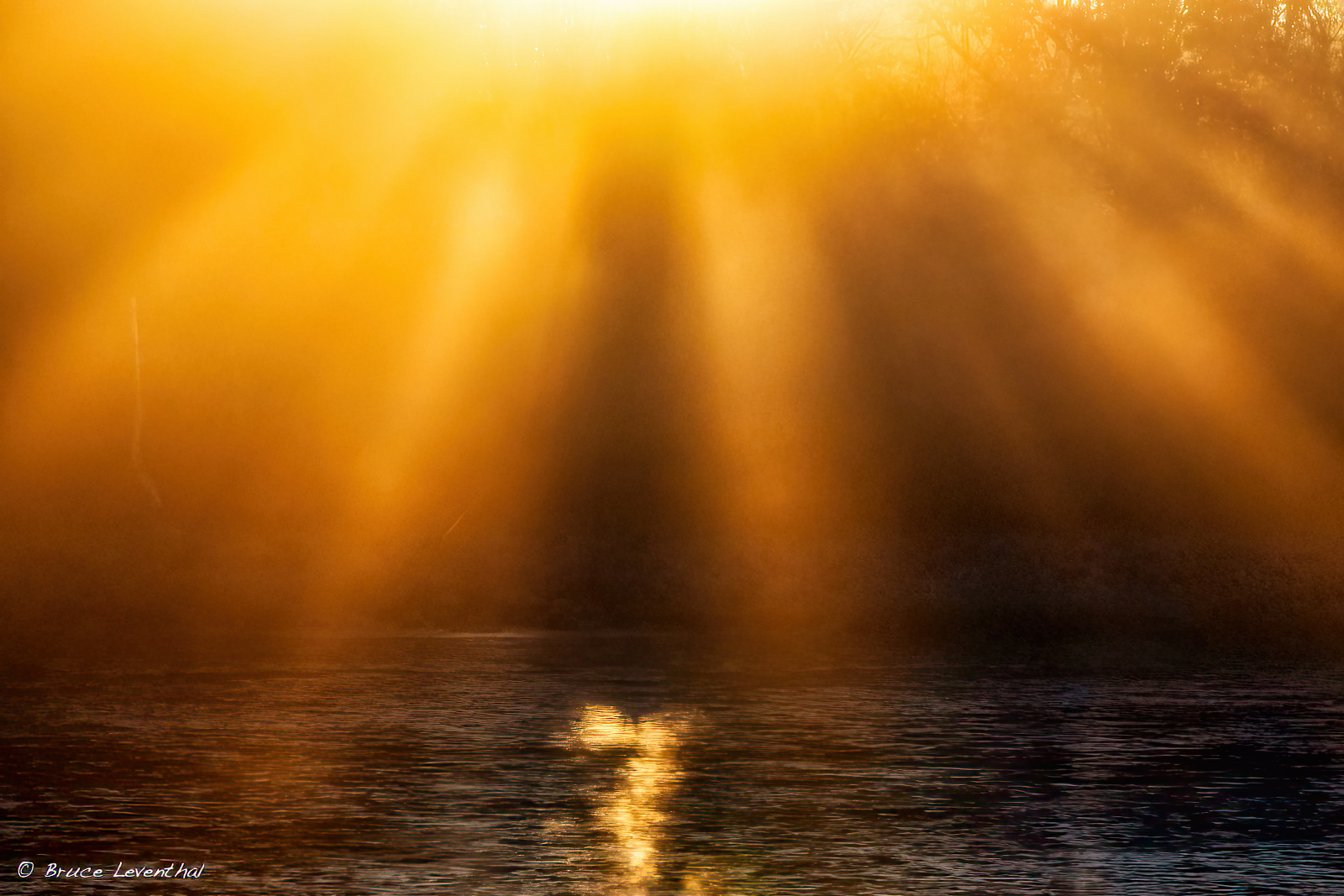 Morning LightZ8L_7508-Edit-Edit-Edit.jpg