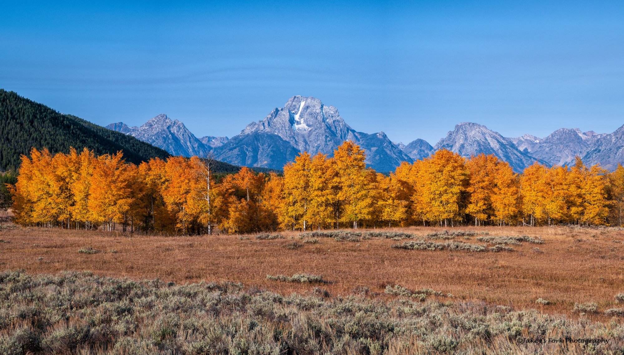 Mt Moran colors_copy_2129x1213.jpg