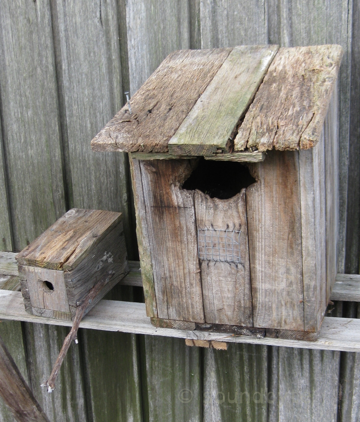 Nest_Boxes_281024_BCG.jpg