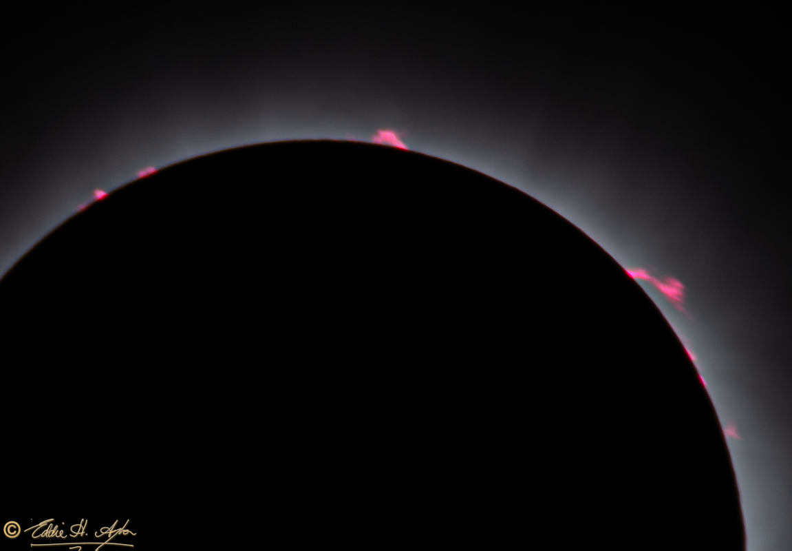NZ8 Stack 2816 2834 2869 2879 Solar Eclipse Prominences-2-2.jpg