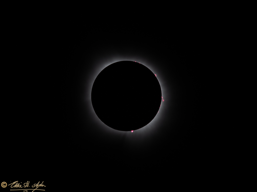 NZ8 Stack 2816 2834 2869 2879 Solar Eclipse Prominences-2.jpg