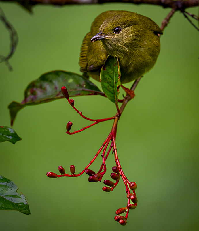 NZ9_4570-Edit.jpg