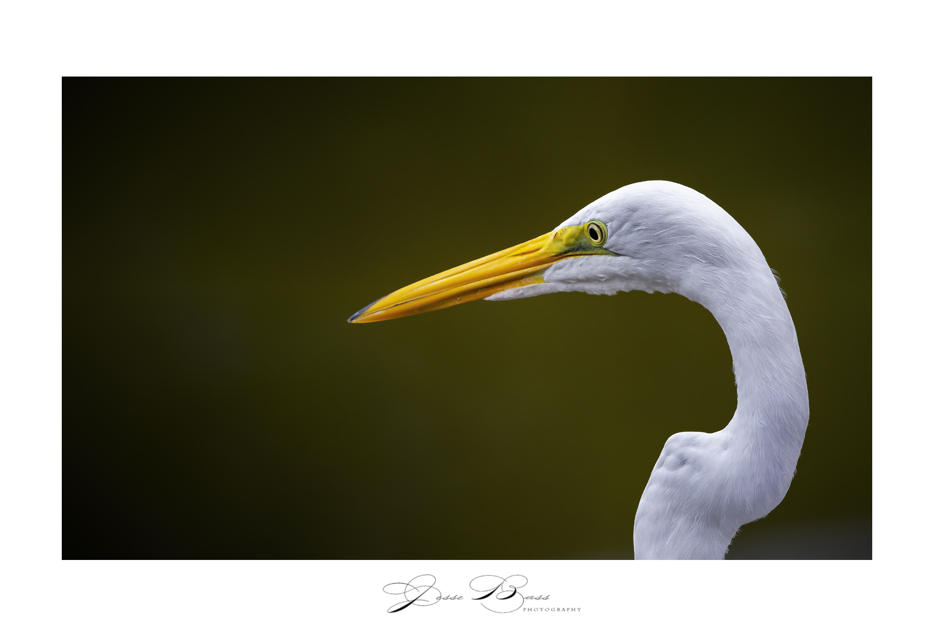 october112020_greategret1_web_6284.jpg