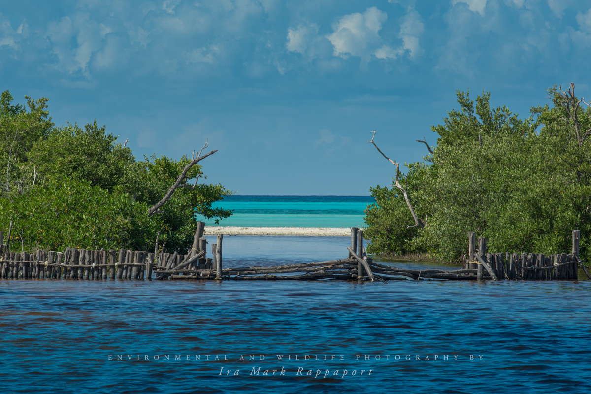 Off a beach in Cozumel.jpg