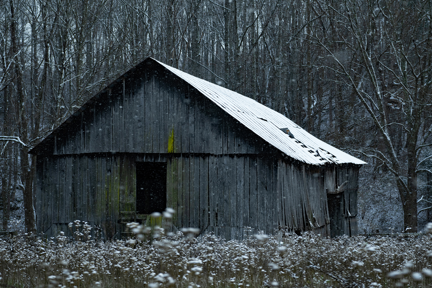 OLD BARN RURAL VIRGINIA _DSC0384.jpg