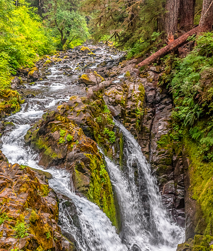 Olympic National Park-13-2.jpg