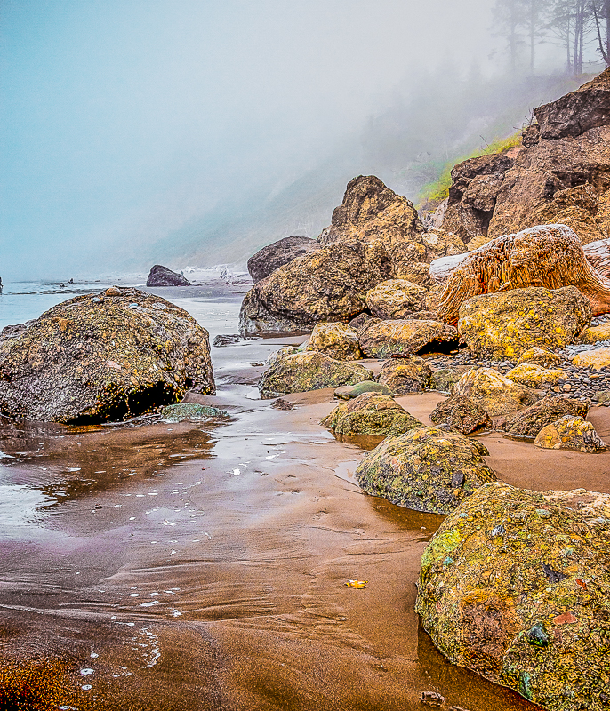 Olympic National Park-21.jpg