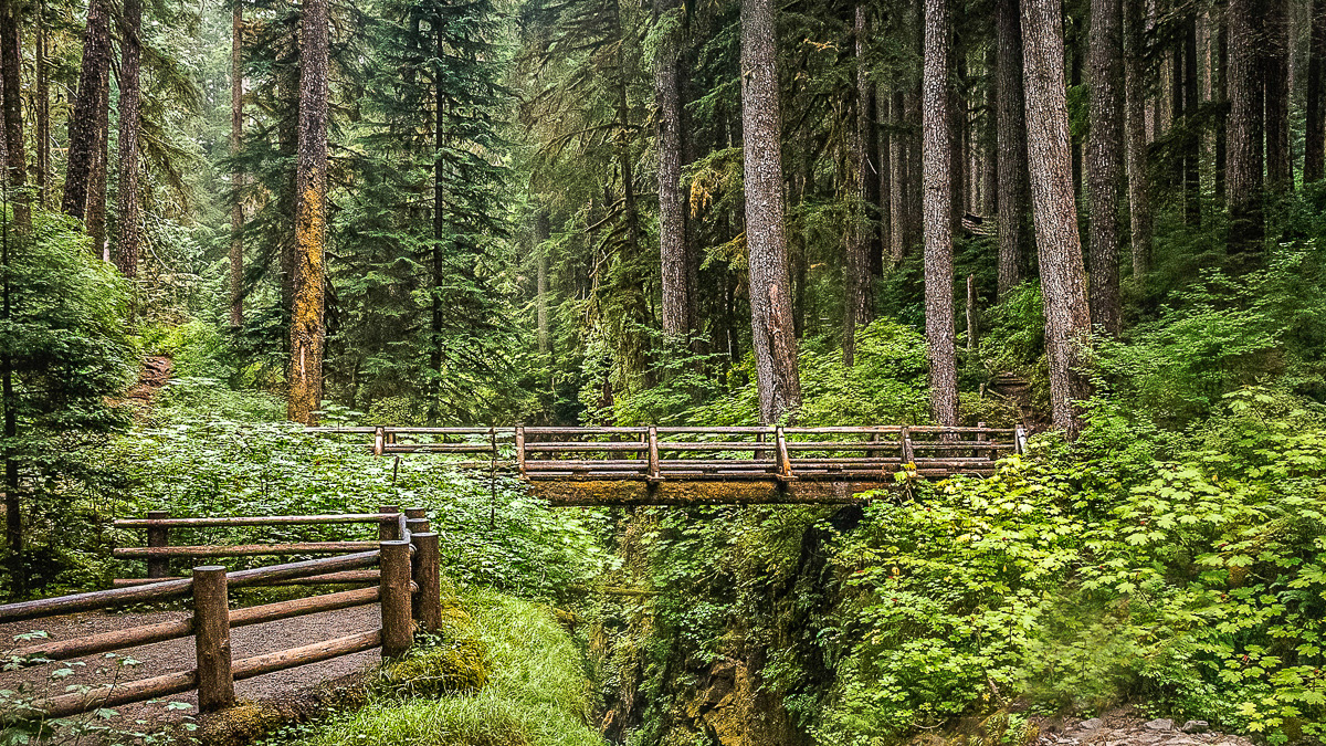 Olympic National Park-45-2.jpg