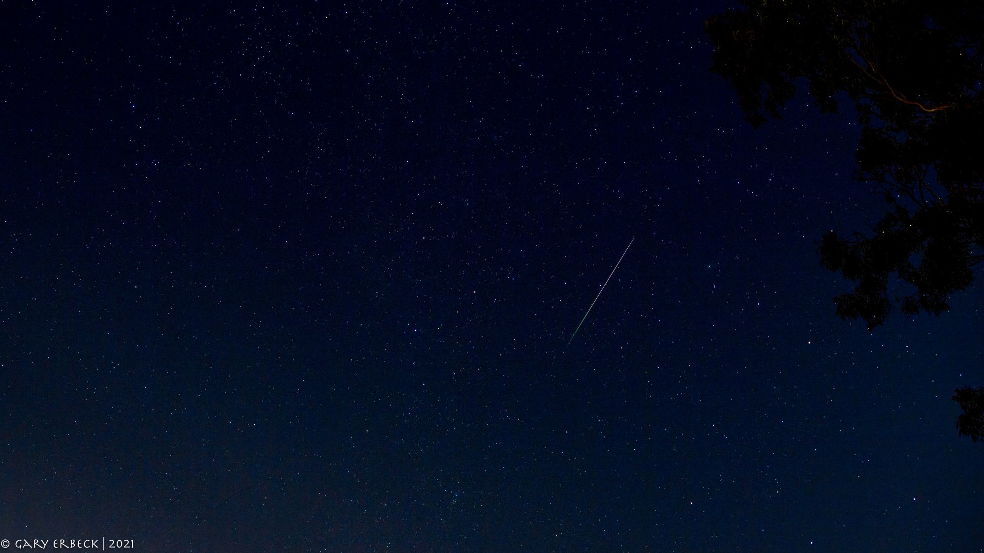 Perseid meteor-0813-IMG_00049NIKON D5-Edit-2.jpg