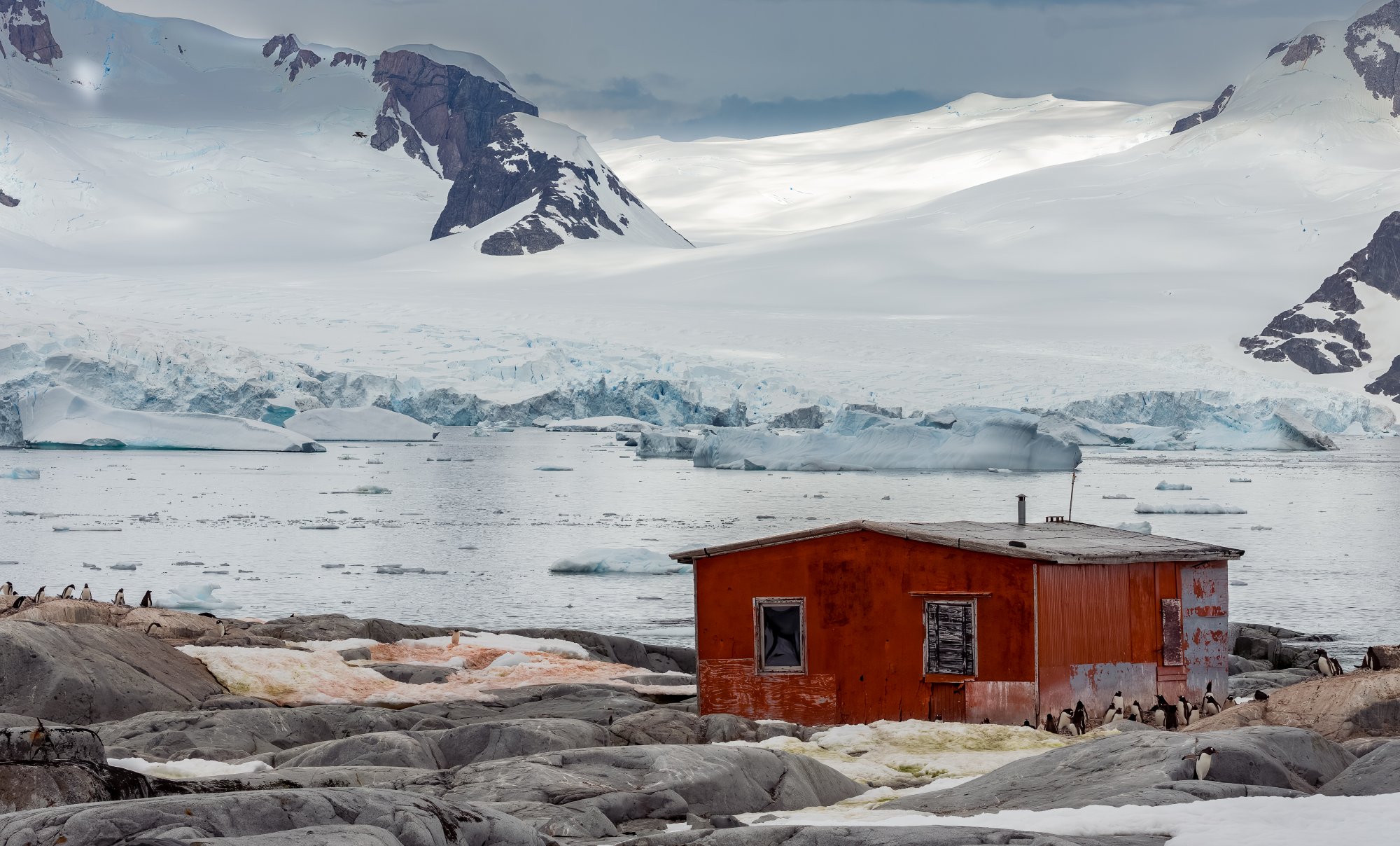 Peterman Island, Antarctica-0122-IMG_00001NIKON D7200.jpg