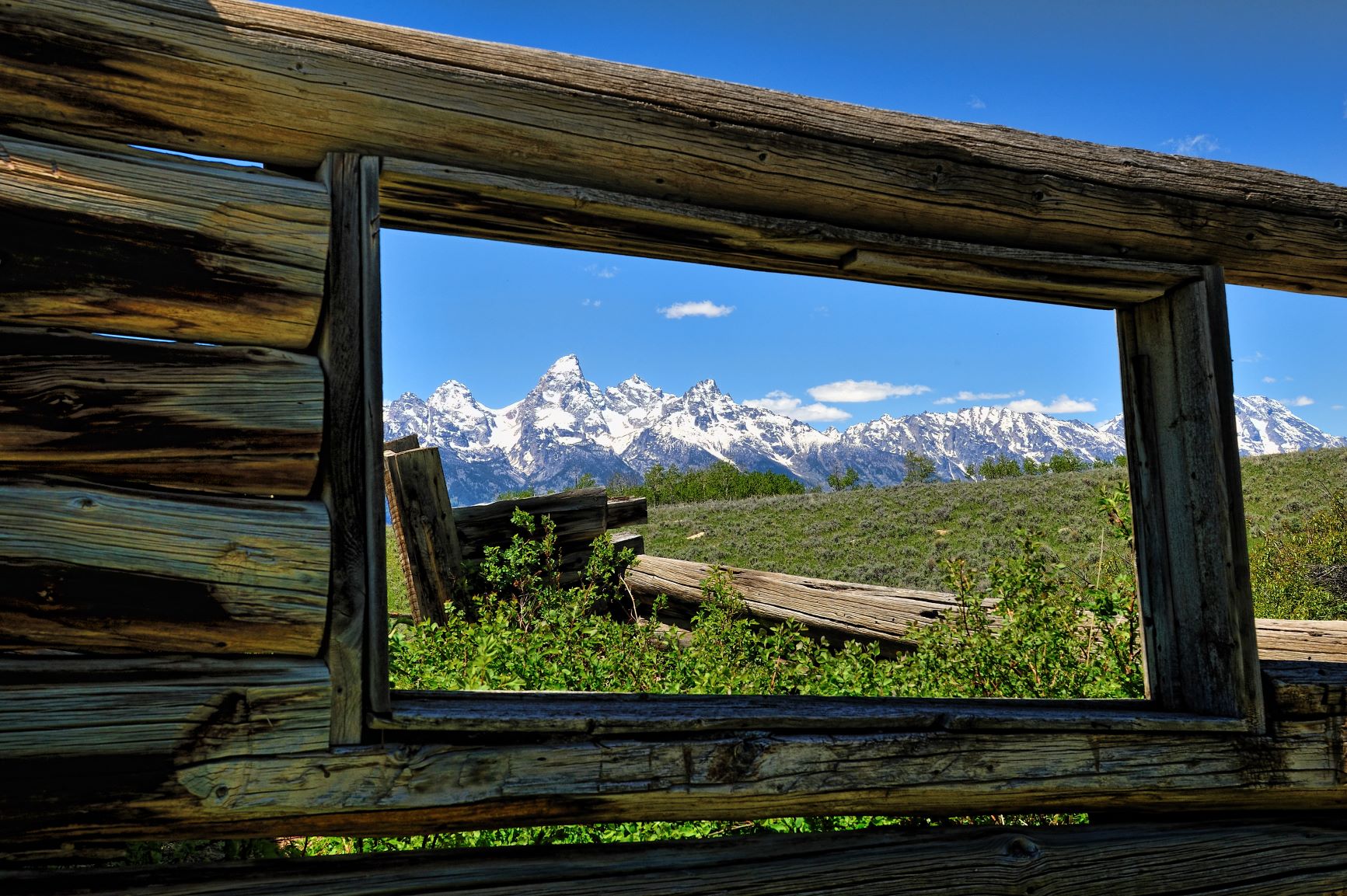 Picture Window2013.jpg