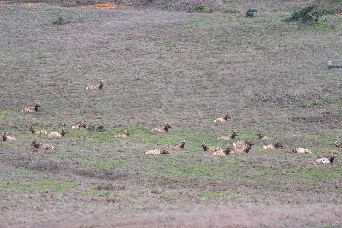 Piedras Blancas-0657.jpg