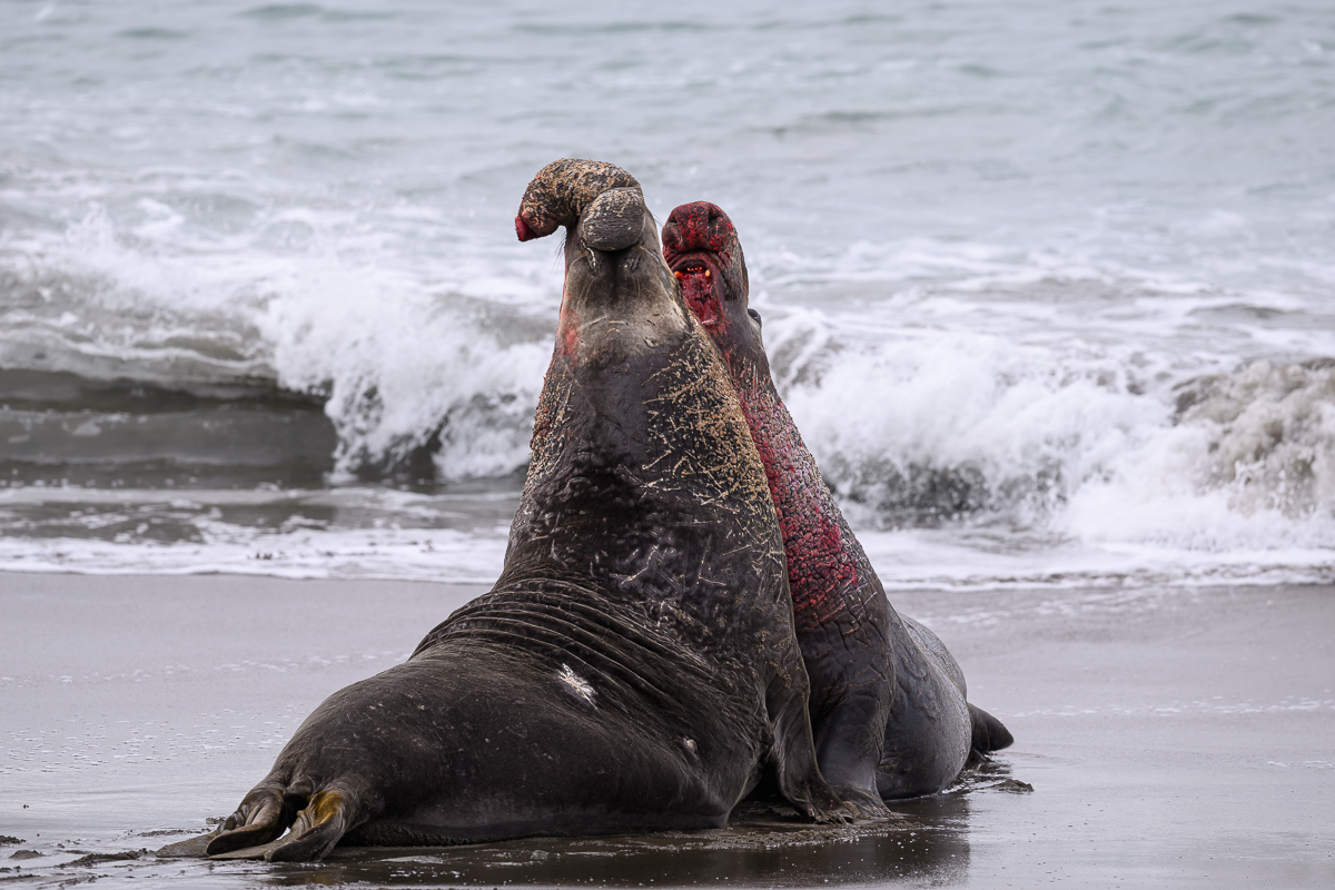 Piedras Blancas-0671.jpg