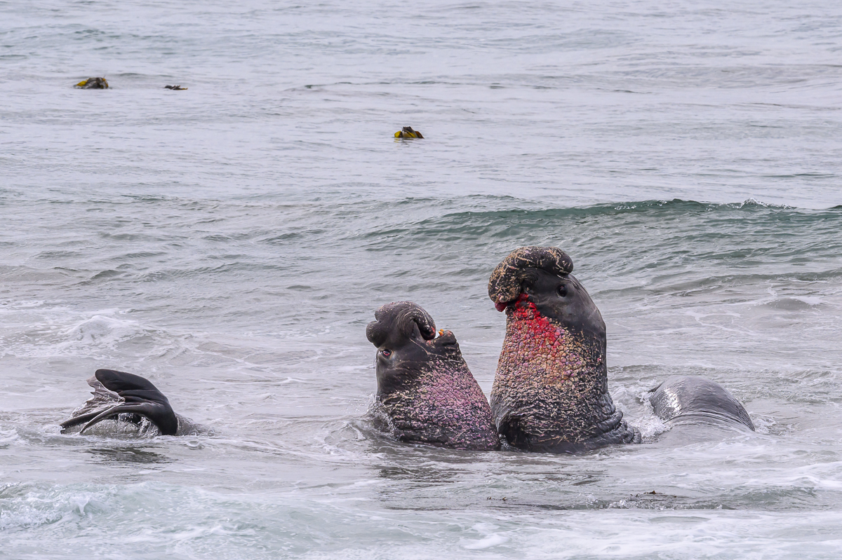 Piedras Blancas-1234.jpg