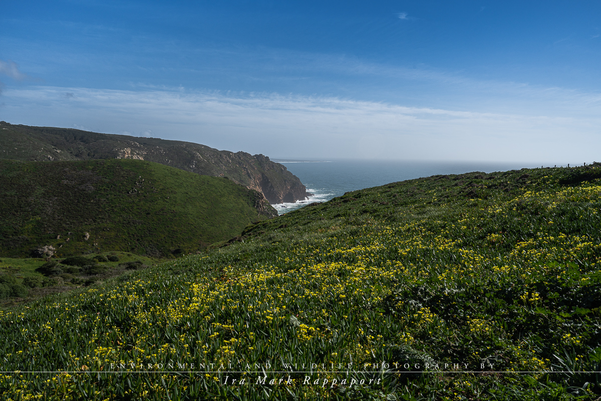 Portugal Landscape.jpg