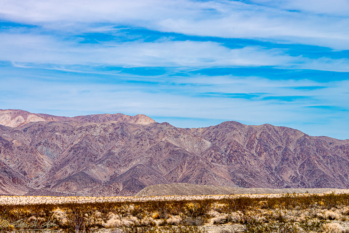 Purple Mountains Majesty_DSC3030 Enhanced-NR.jpg