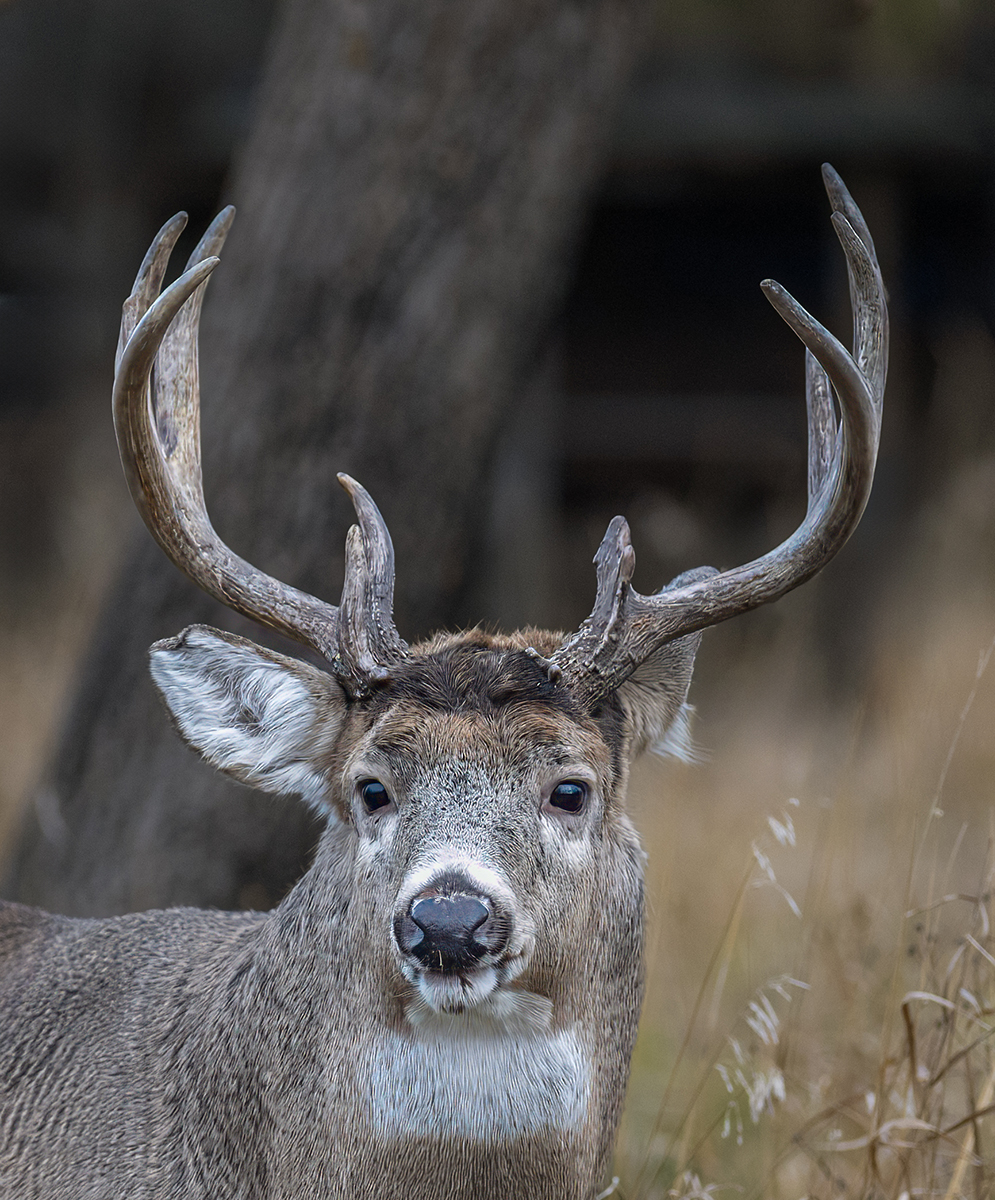 Rack em up Mission Marsh 5138.jpg