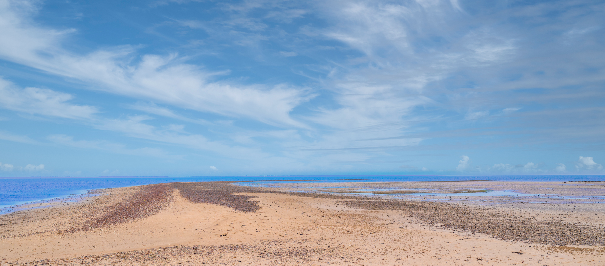 Reef Point, Moreton Bay : South Pacific, Australia