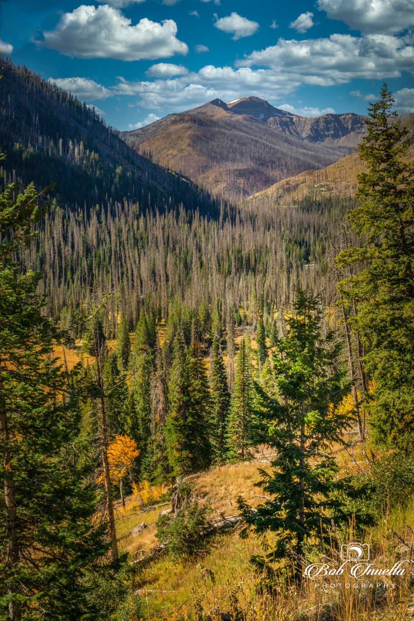 Road to Cody_Wapiti,Wy (1 of 1).jpg