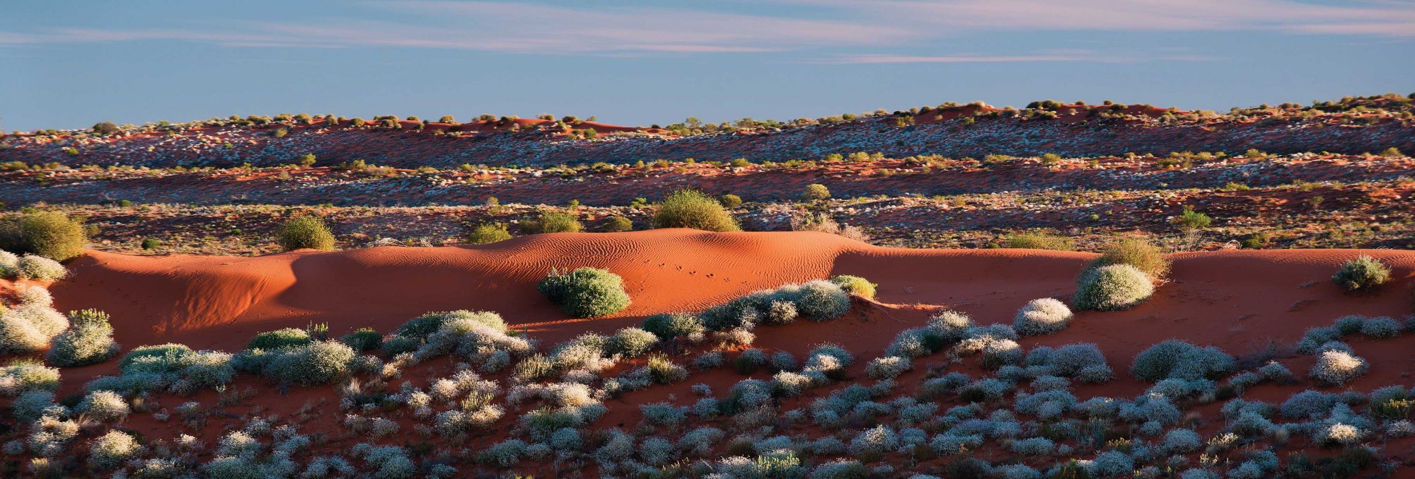 Rolling-Sunset-Lit-Dunes-Simpson-Desert-July-2015.jpg