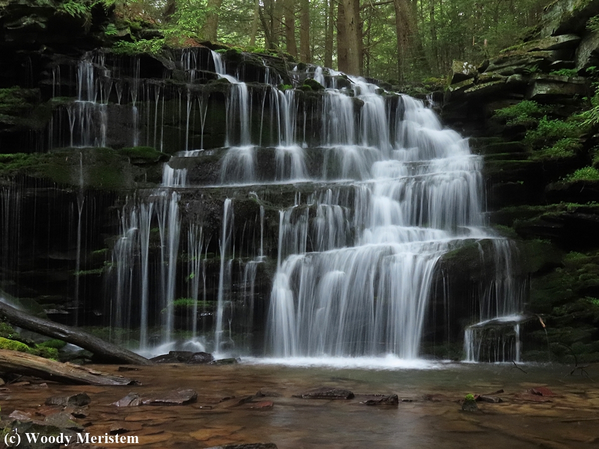 Rosecrans Falls.JPG