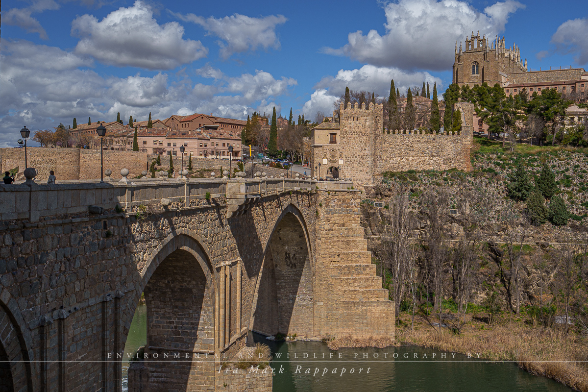 San Martin Bridge.jpg