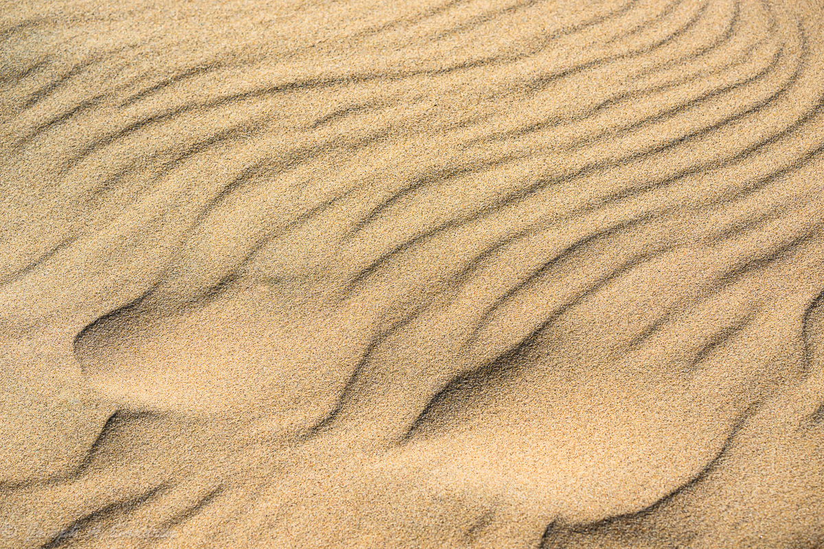 Sand_03.jpg