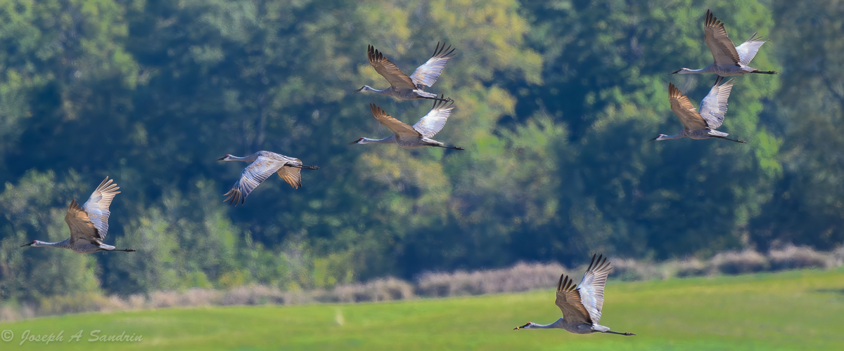 SandhillsHNWR_06.jpg