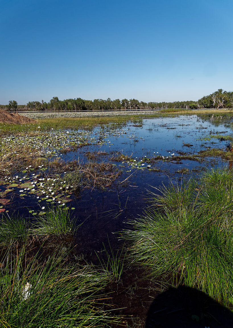 Sandy Billabong 10.jpg