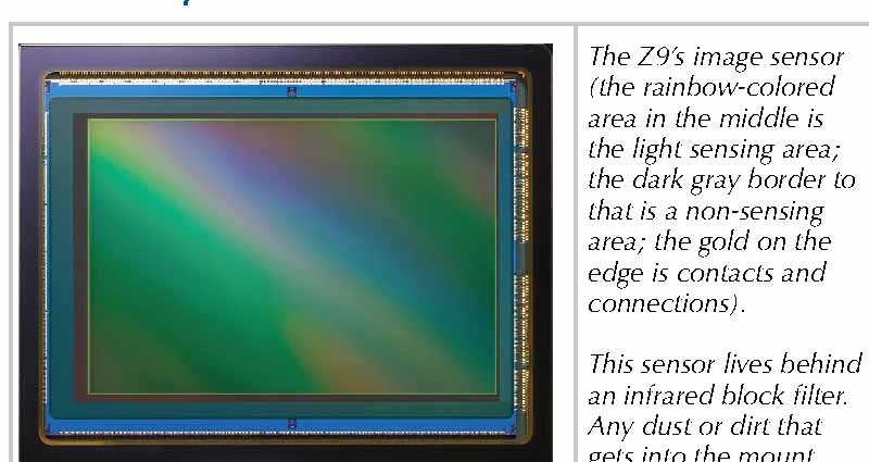 sensor z9 Thom Hogan v1.0 guide100.jpg