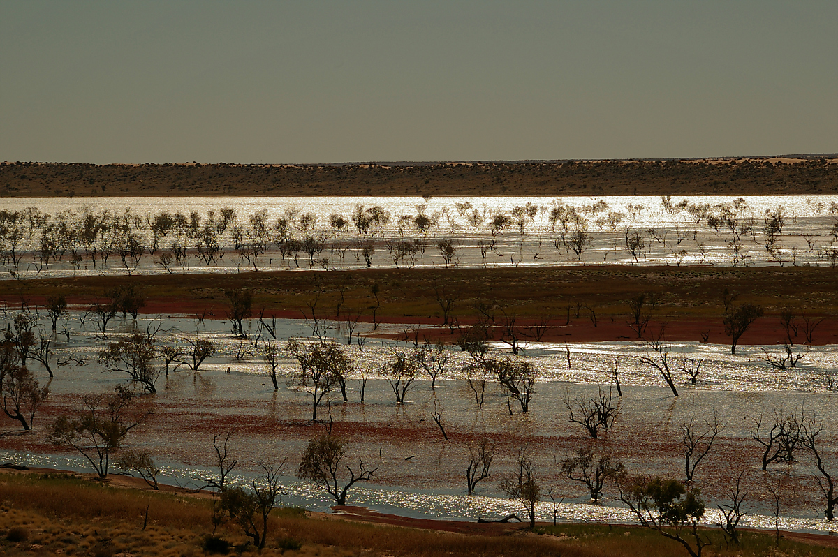 Simpson desert near Bville (11).jpg