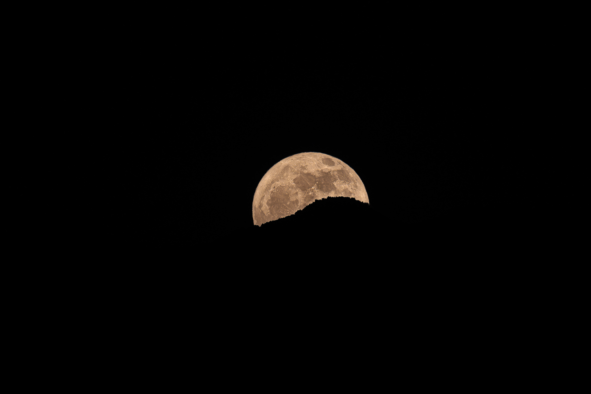 Strawberry Moon_2023-06-03_92_.jpg