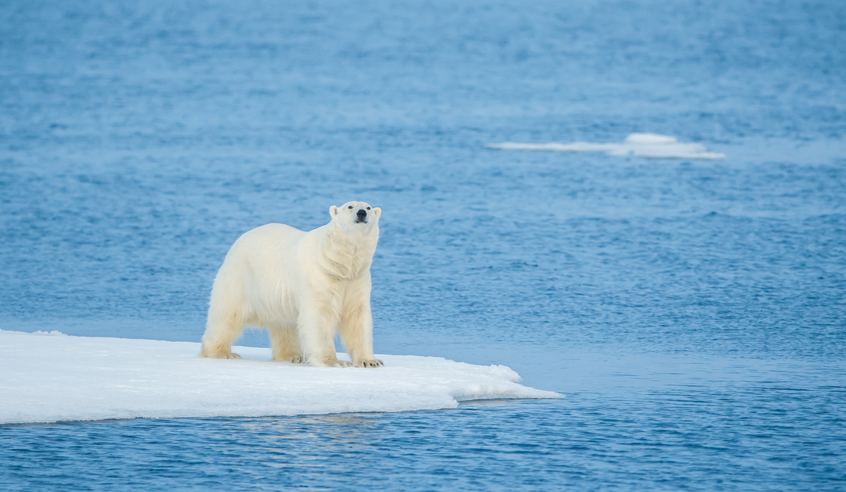 Svalbard (694 of 2555).jpg