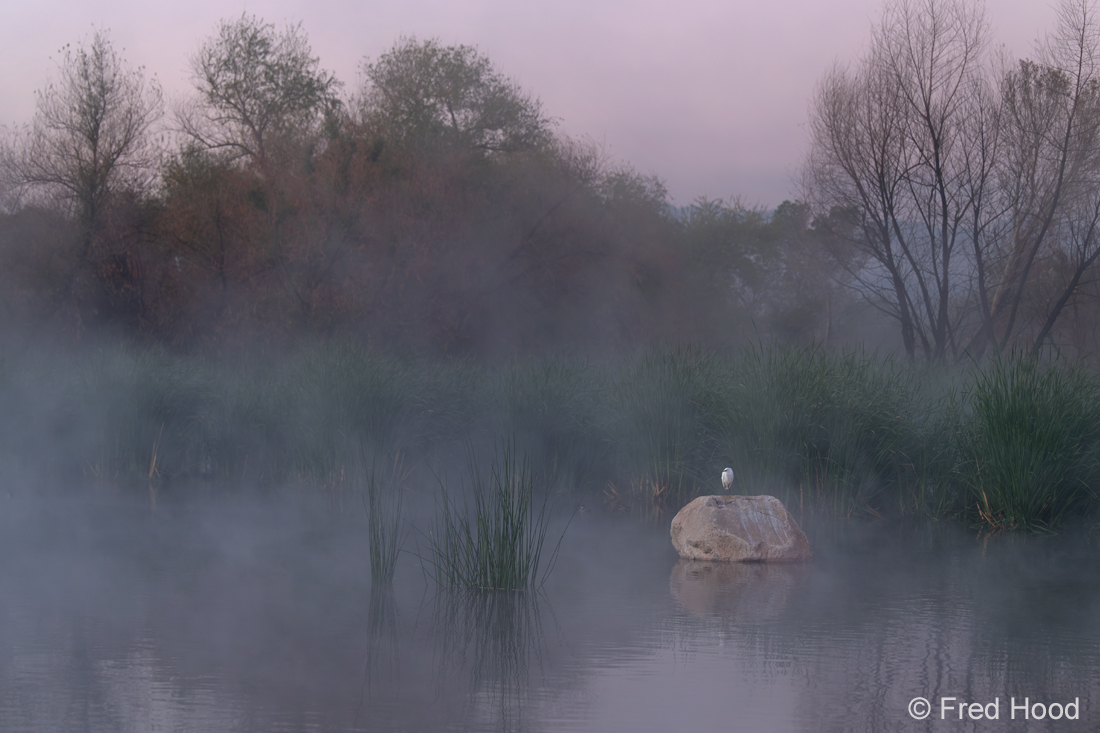 Sweetwater Wetlands Z8 5642.jpg