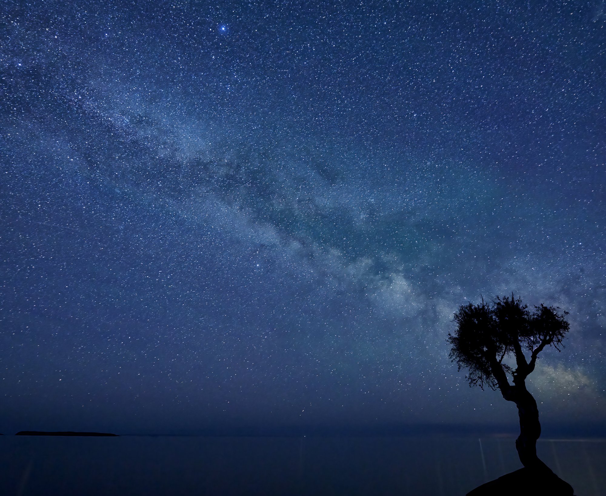 The Spirit Tree Under the Milky Way for Fair .jpg