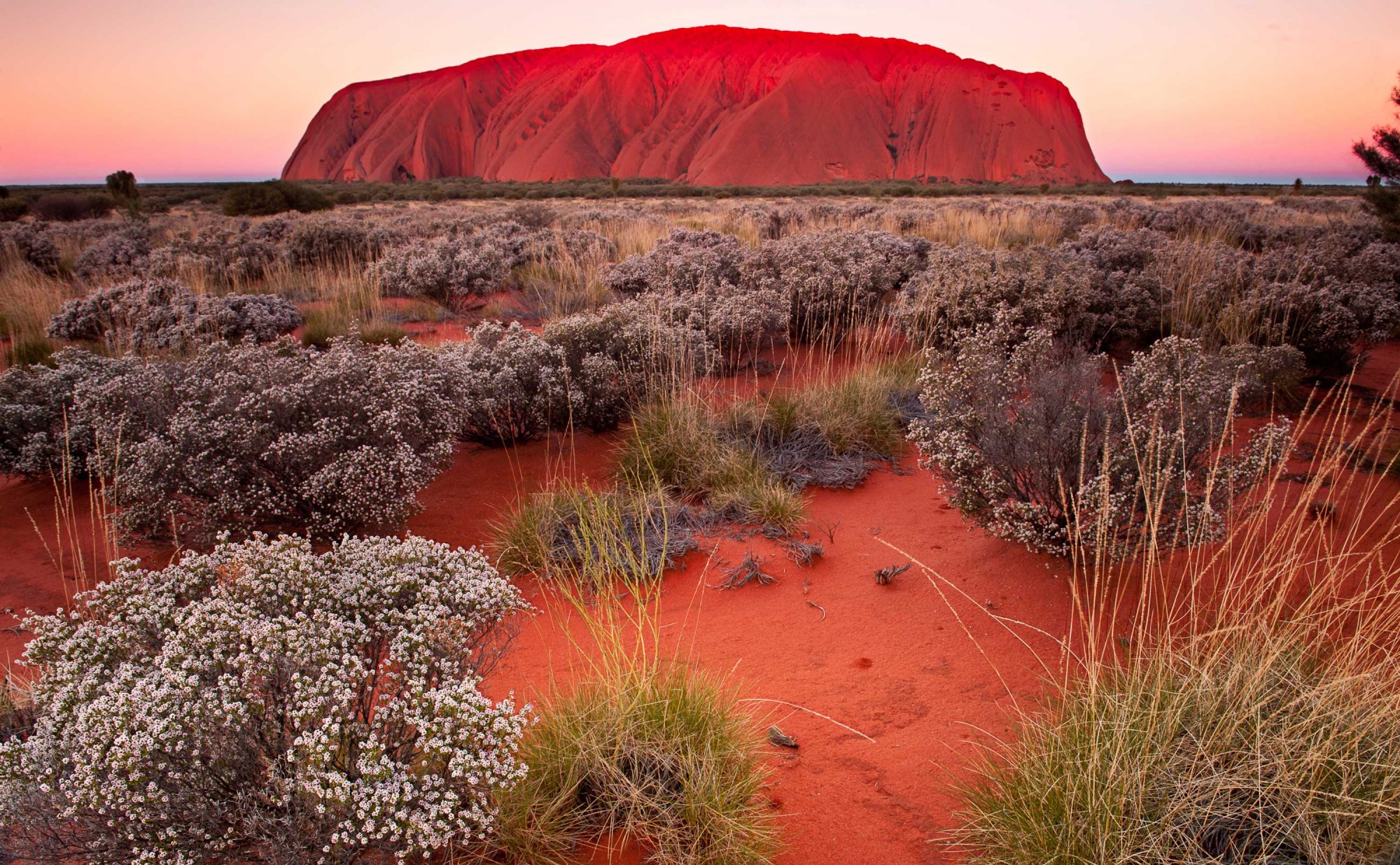 Uluru-Mark-2.jpg