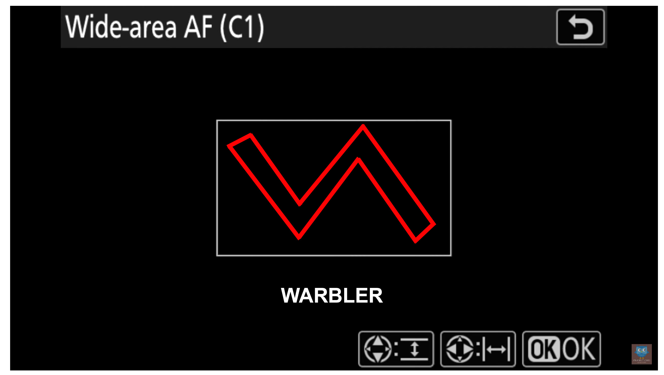 Warbler Focus Area - Nikon Z9.jpg