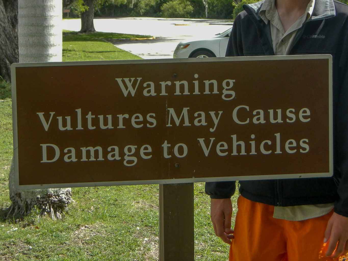 Warning! Vultures Eat Cars.-1.jpg