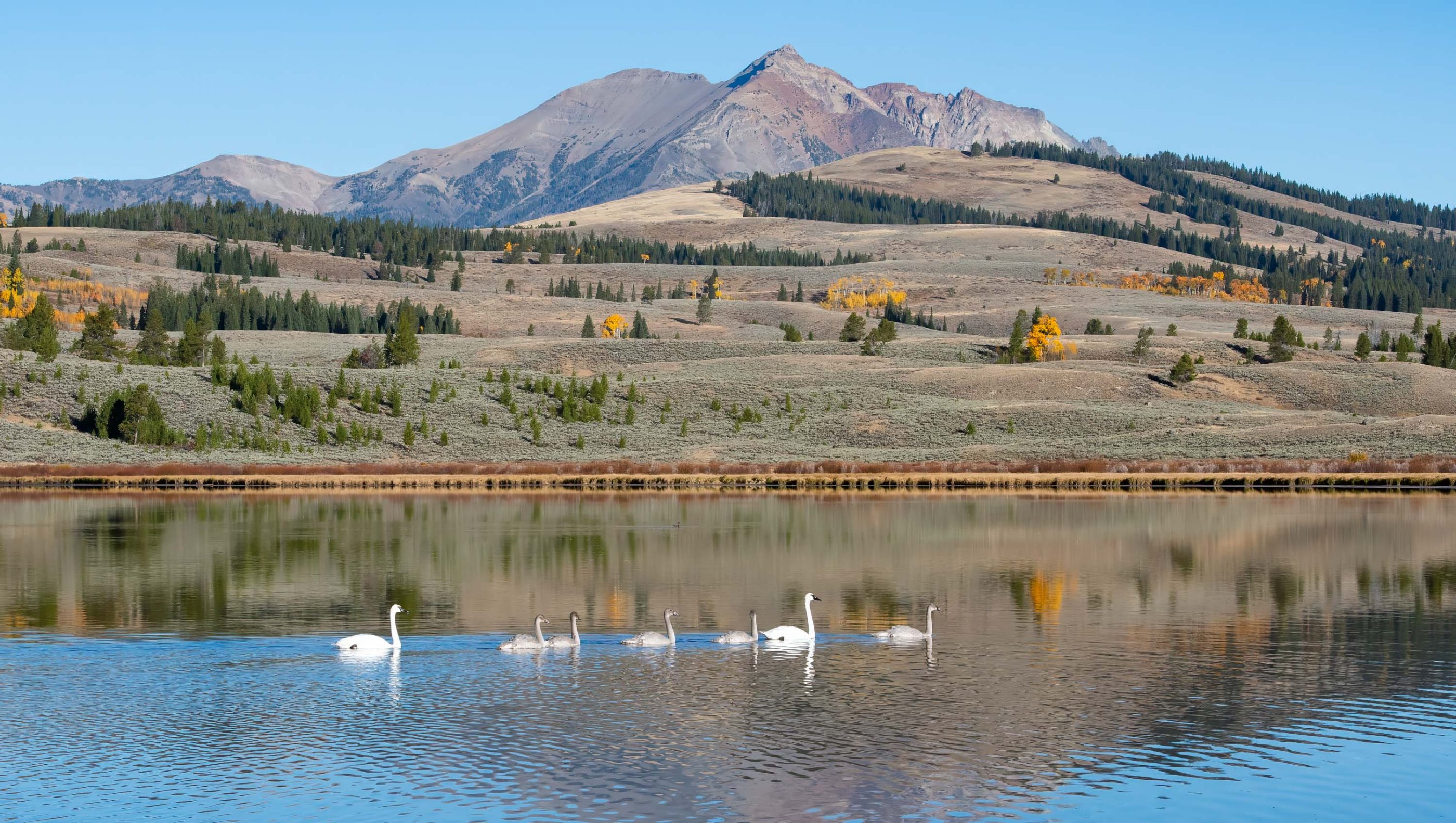 Web_Yellowstone Tetons-24.jpg