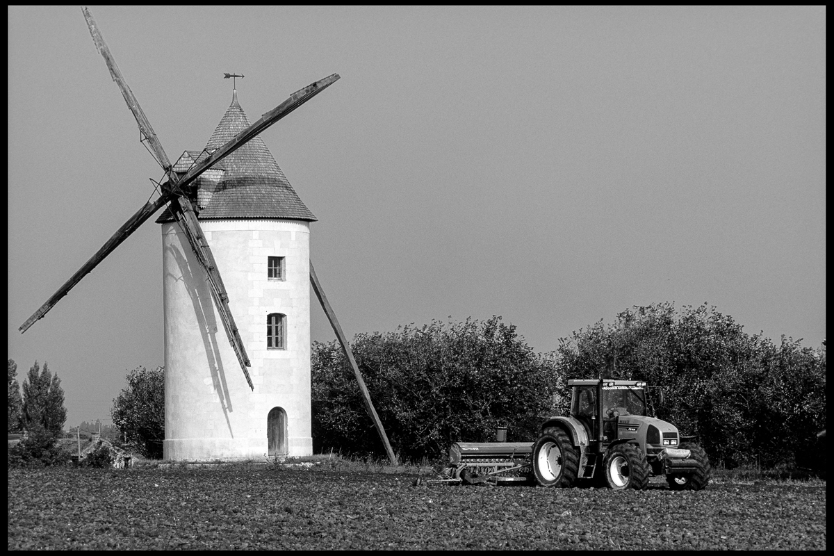 windmill_2.jpg